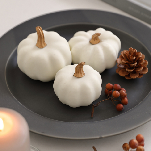 モダンパンプキンアソート3個セット
