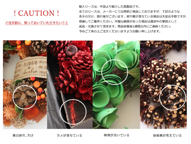 オータムリースHW411約50cm/ハロウィン/秋/ドライリース/ナチュラル