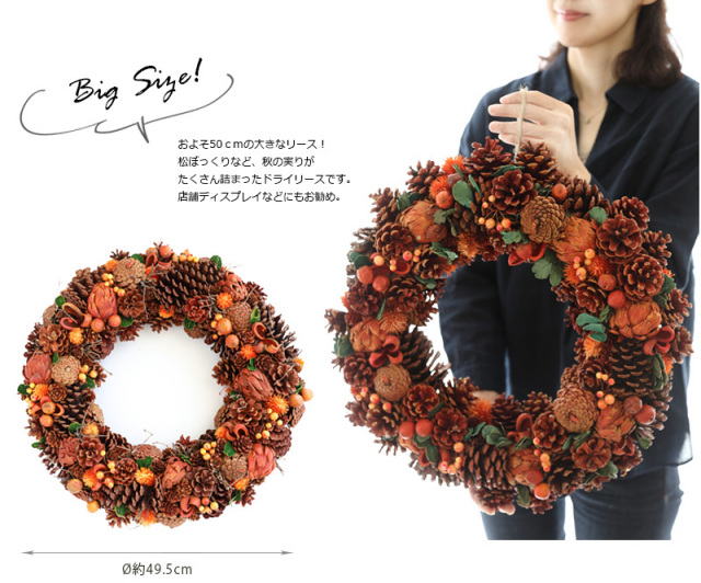 ドライリース オータム