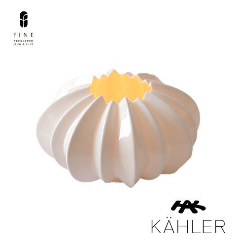 Kaepa ステラライト　24cm Kaepa ステラライト 24cm Kaepa ステラライト 24cm