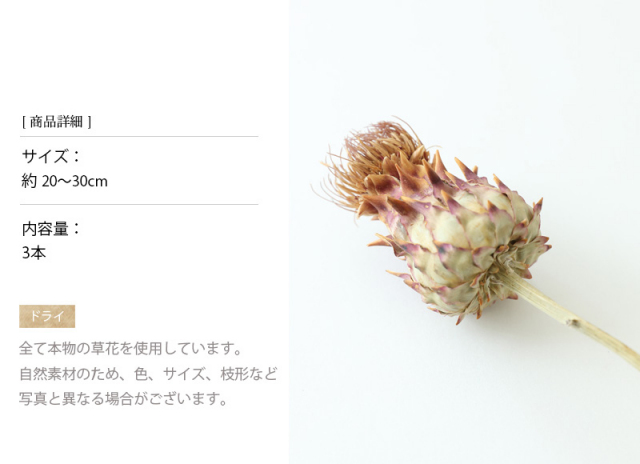 アーティーチョークミニ プリザーブドフラワー ドライフラワー 花材 小分け ナチュラルインテリア シンプル 手作り ハンドメイド ハーバリウム 男前インテリア