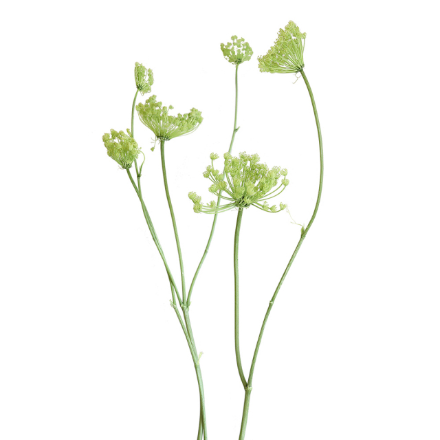 花材/ドライフラワー/プリザーブドフラワー