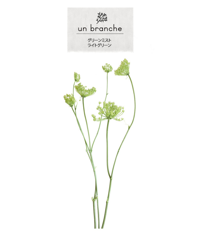 花材/ドライフラワー/プリザーブドフラワー