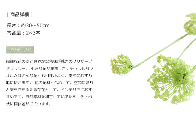 花材/ドライフラワー/プリザーブドフラワー