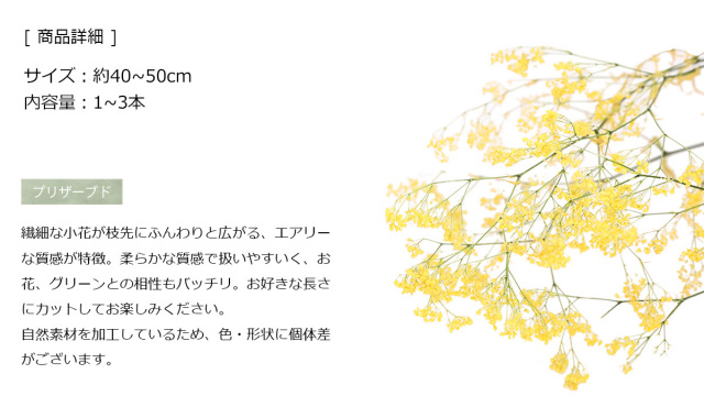 花材/ドライフラワー/プリザーブドフラワー