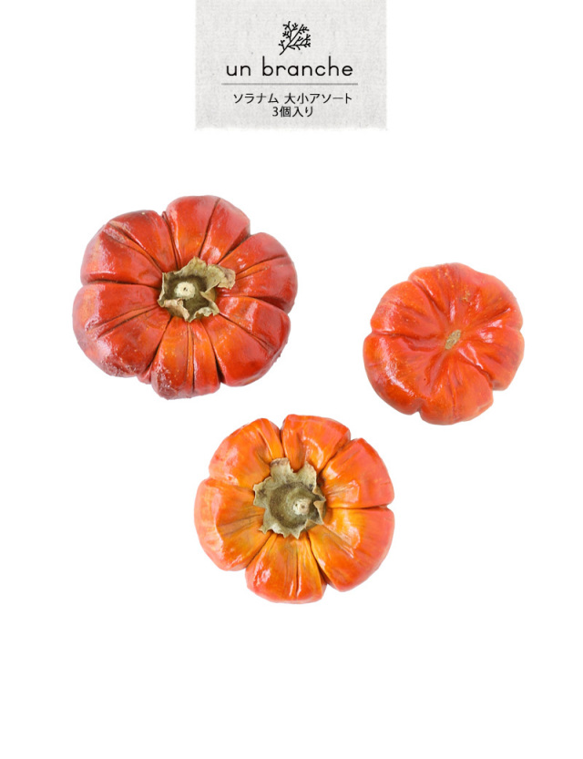 花材/ドライフラワー/プリザーブドフラワー