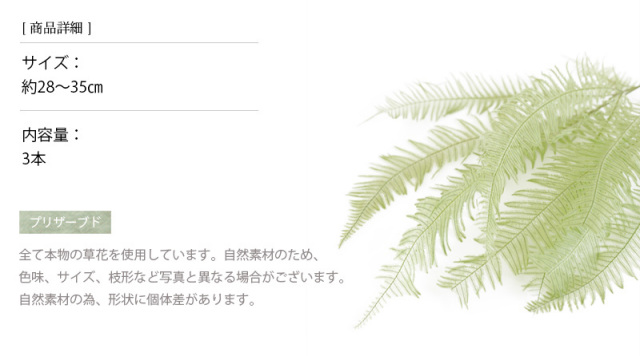 花材/ドライフラワー/プリザーブドフラワー