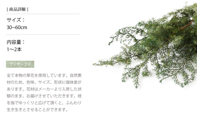 花材/ドライフラワー/プリザーブドフラワー