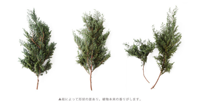 花材/ドライフラワー/プリザーブドフラワー