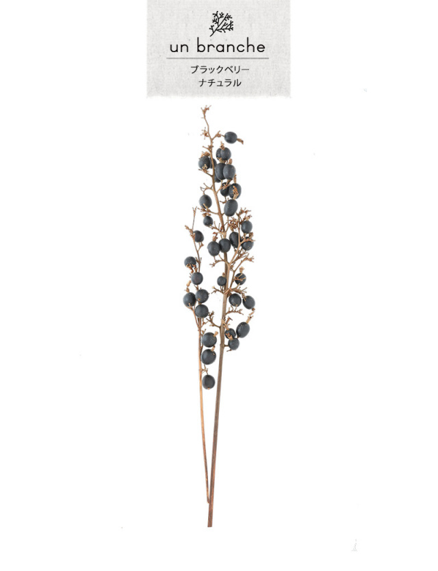 花材/ドライフラワー/プリザーブドフラワー