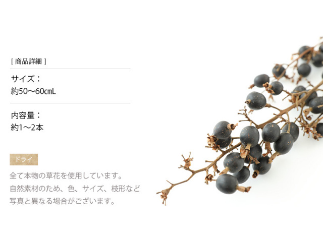 花材/ドライフラワー/プリザーブドフラワー