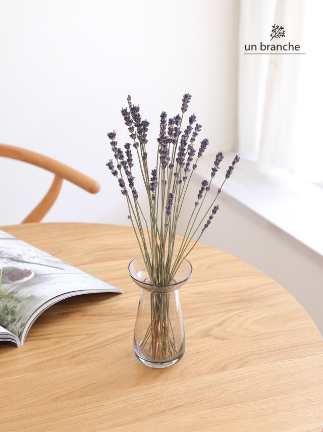 ラベンダー・イタリー | プリザーブドフラワー ドライフラワー 花材