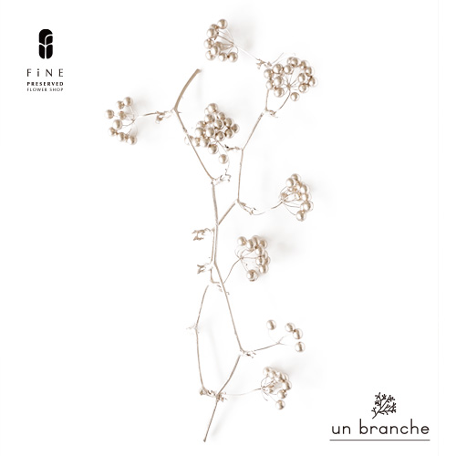 ゴアナクロー　winter mix ロング　ハーバリウム　1022-6 ゴアナクロー winter mix ロング ハーバリウム 1022-6