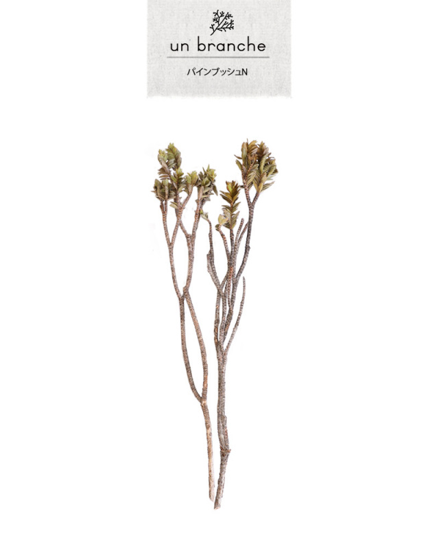 ヴィードポッシュフラワー louis-vuitton-monogram-flower-