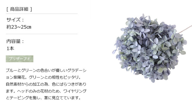 花材/ドライフラワー/プリザーブドフラワー
