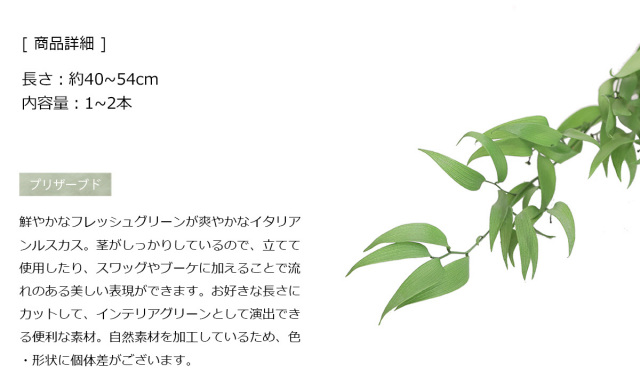 花材/ドライフラワー/プリザーブドフラワー