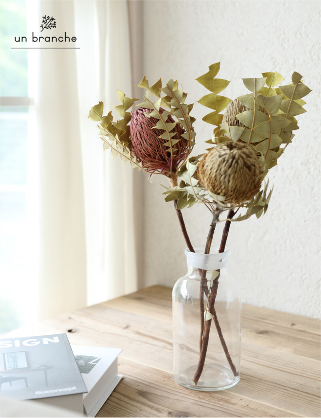 バンクシャ ナチュラル |プリザーブドフラワー/ドライフラワー/花材