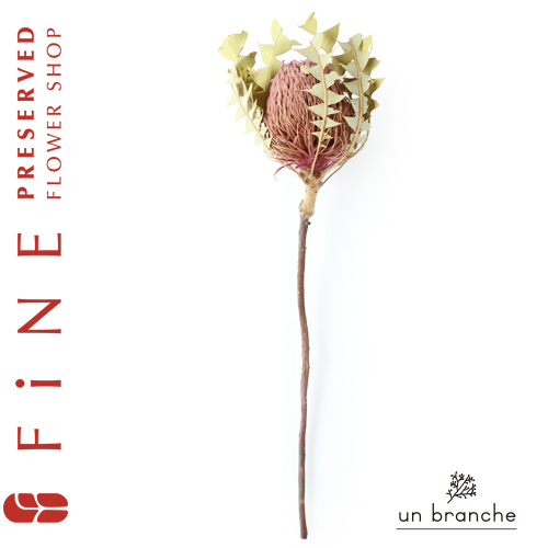 ホワイトアジサイワイヤーステム付き｜プリザーブドフラワー/ドライ