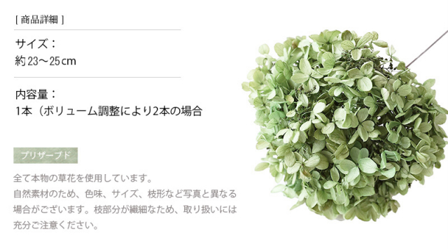 花材/ドライフラワー/プリザーブドフラワー