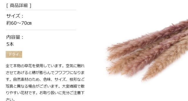 Slindy フラワープリント ベージュ XS-Lサイズあり 【GINZA COUTURE/銀座クチュール】フラワー