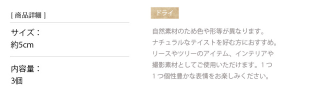 花材/ドライフラワー/プリザーブドフラワー