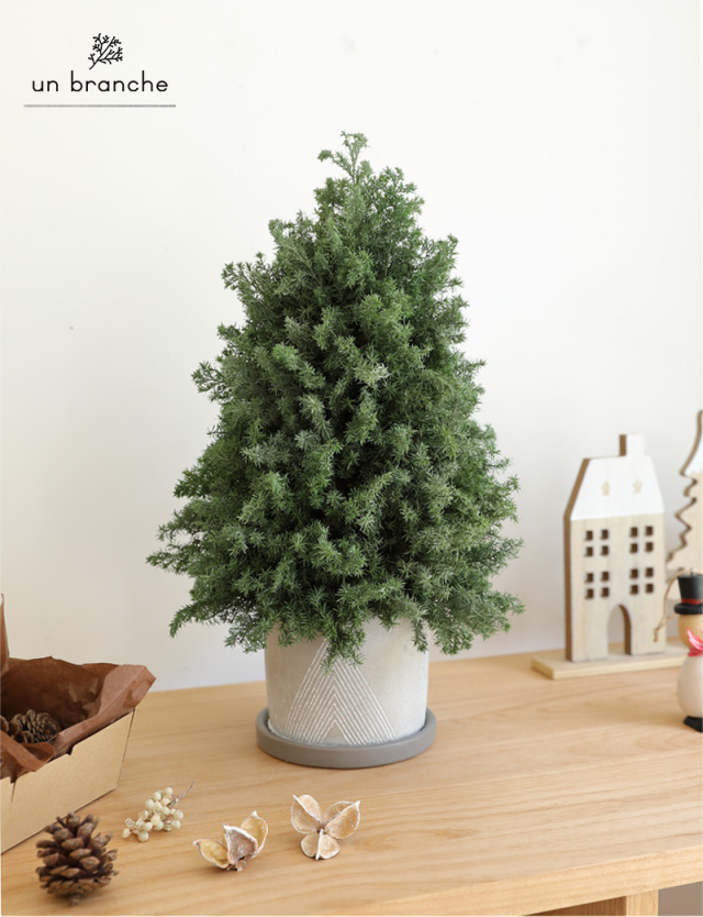 花材/ドライフラワー/プリザーブドフラワー