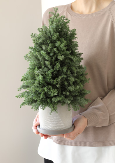 花材/ドライフラワー/プリザーブドフラワー