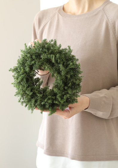 花材/ドライフラワー/プリザーブドフラワー