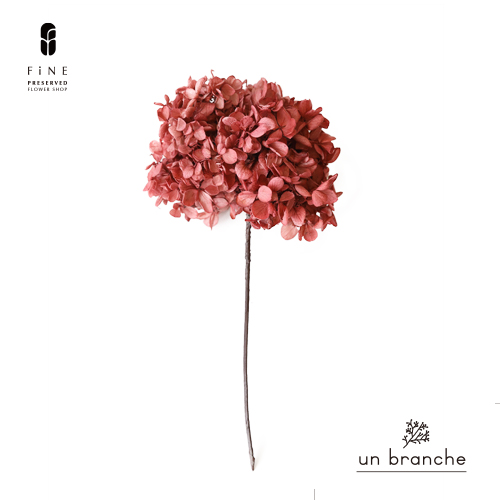 花材/ドライフラワー/プリザーブドフラワー