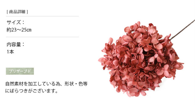花材/ドライフラワー/プリザーブドフラワー