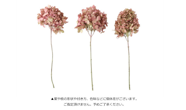 花材/ドライフラワー/プリザーブドフラワー