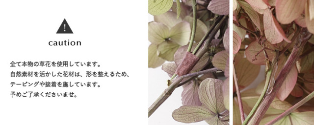 花材/ドライフラワー/プリザーブドフラワー