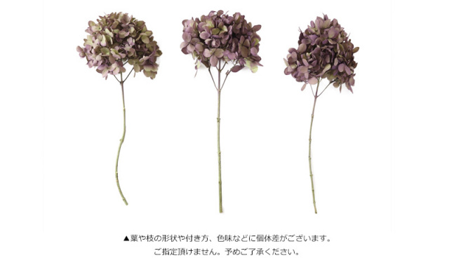 花材/ドライフラワー/プリザーブドフラワー