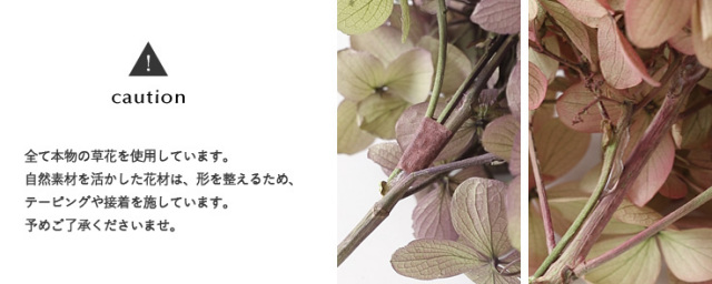 花材/ドライフラワー/プリザーブドフラワー