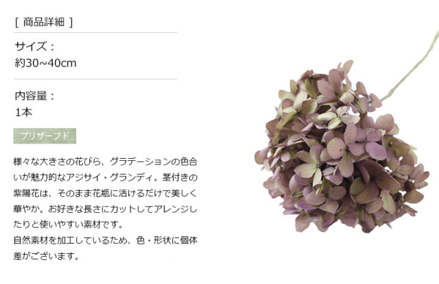 花材/ドライフラワー/プリザーブドフラワー