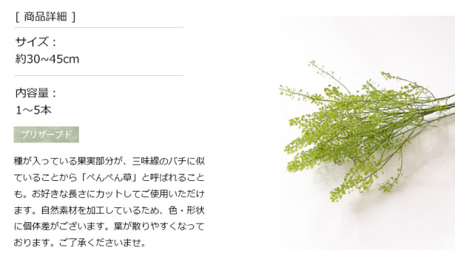 花材/ドライフラワー/プリザーブドフラワー