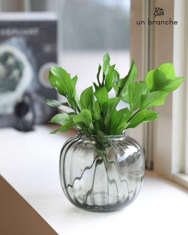 ルスカスガーデン フレッシュグリーン