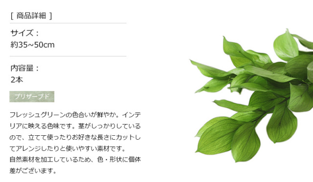 花材/ドライフラワー/プリザーブドフラワー