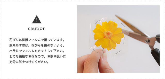 花材/ドライフラワー/プリザーブドフラワー