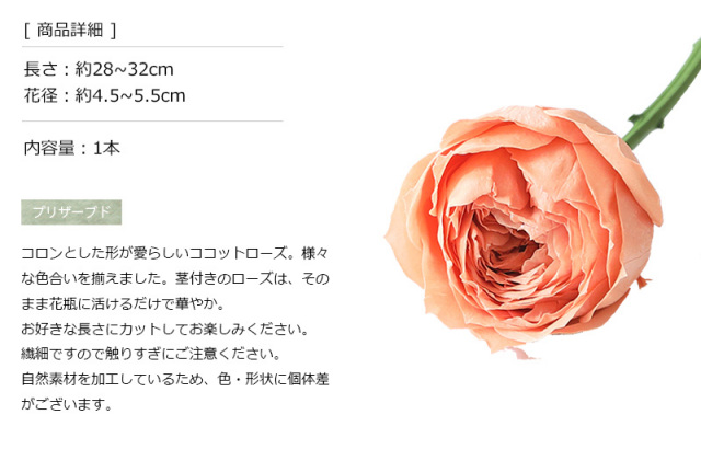 花材/ドライフラワー/プリザーブドフラワー