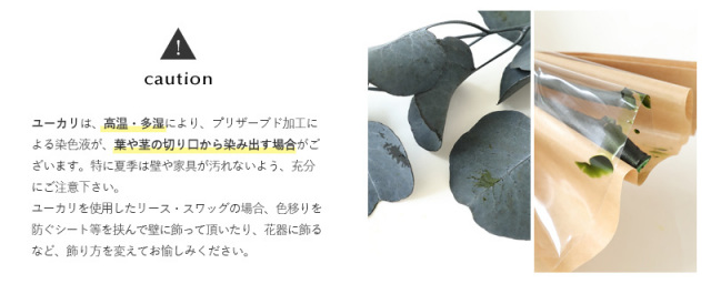 ユーカリ注意事項
