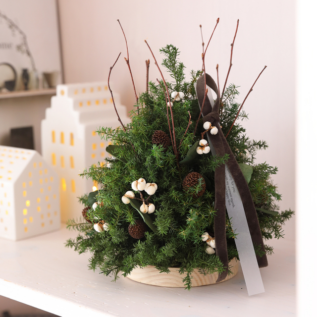 プリザーブドフラワー/ギフト/プレゼント/プリザーブドグリーン/クリスマス/テーブルフラワー