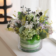 フェンネル【送料無料】