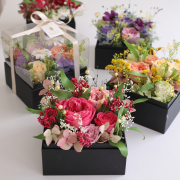 ＆BOX アンドボックス【送料無料】