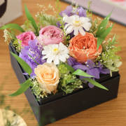 誕生日プレゼント！ギフト/花/プレゼント/誕生日/お見舞い