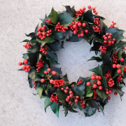 アイビーレッドベリー【送料無料】