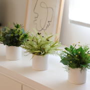 ラフィネ【送料無料】