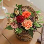 エミリー【送料無料】