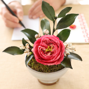 花椿【送料無料】