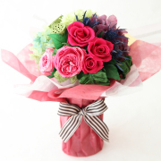 マリー【送料無料】